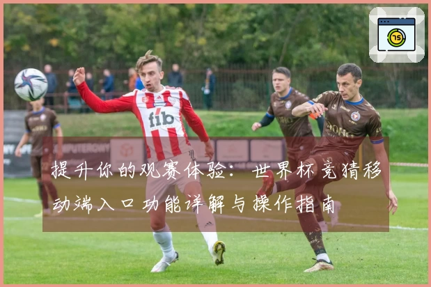 提升你的观赛体验：世界杯竞猜移动端入口功能详解与操作指南