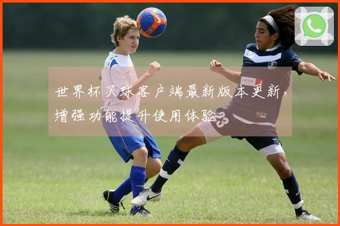世界杯买球客户端最新版本更新，增强功能提升使用体验