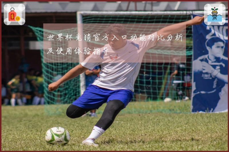 世界杯竞猜官方入口功能对比分析及使用体验指导