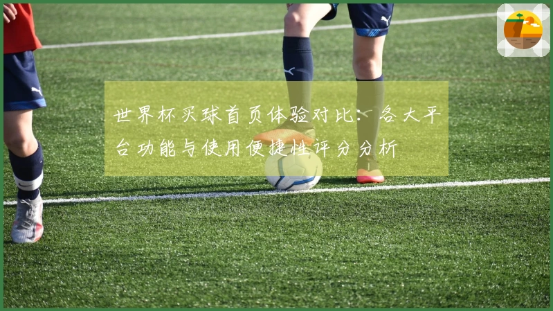 世界杯买球首页体验对比：各大平台功能与使用便捷性评分分析